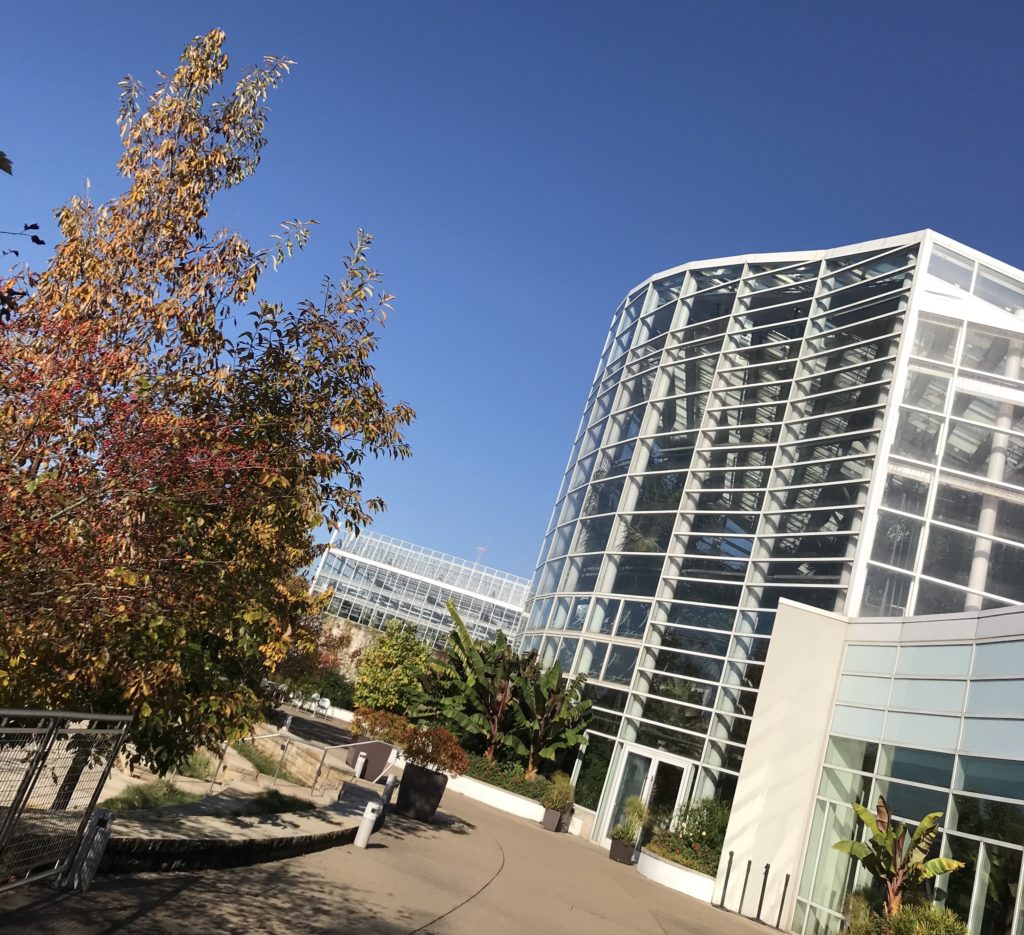 Phipps Outside Patio