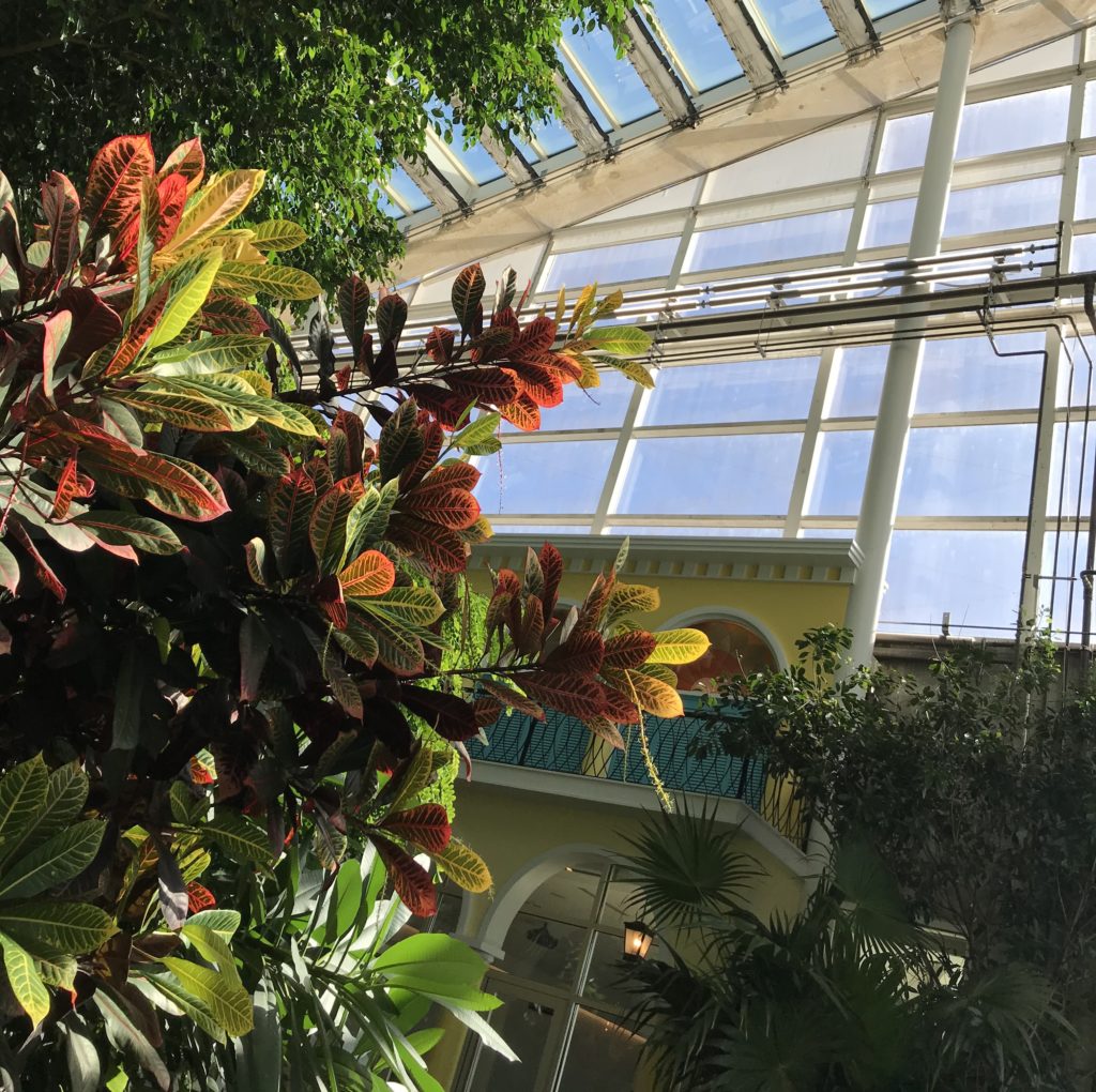 Phipps Inside Tropical Rainforest Conservatory